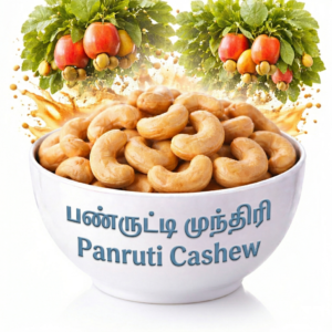 panruti cashew